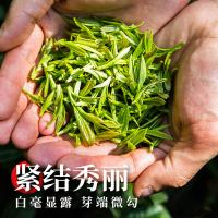 遂川狗牯脑茶